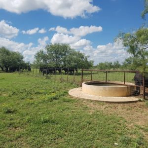 How much water do I need?