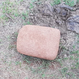 Cattle salt: what is it good for?