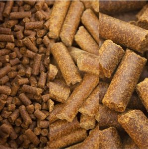 cattle feed supplements: advice on how to make best plan possible