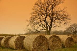 how to determine the value of that hay bale