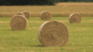 how to make that hay bale last longer
