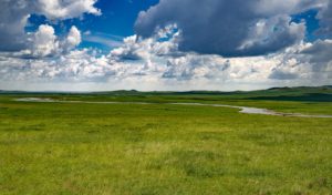 how to improve pasture during hot. dry summer