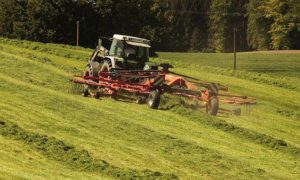 how to avoid nitrate toxicity following a drought