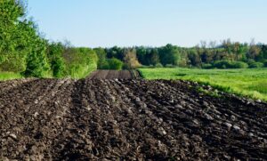 5 tips to get the most out of your soil test