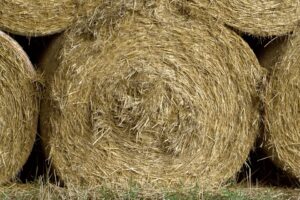 4 ways to avoid extra costs with hay