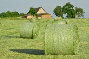 How to make that hay bale stay fresher longer