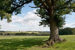 Get your pasture summer ready in 4 surprisingly easy steps