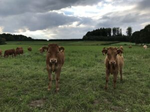 Better ways to deal with drought and high prices