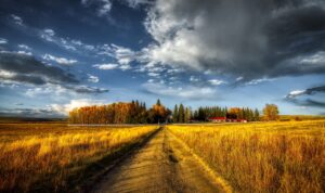 How to plan now to make it through winter