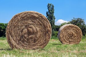 How to find out how much that hay really costs