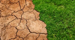 How to retrieve the most from your soil test