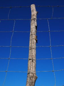 How to choose a stunning fence the right way