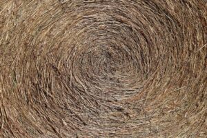 Simple way to determine the worth of a hay bale