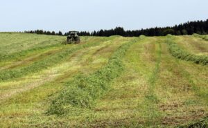 Hay bale mastery: how to actually preserve premium feed