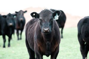 How to drought-proof your farm with 4 surprisingly simple steps