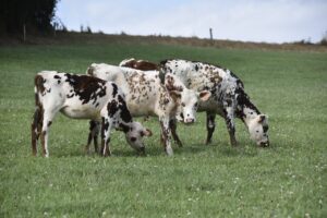 Fight trichomoniasis: Simple steps to actually prevent this disease