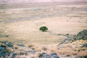 How to really manage a ranch during drought
