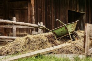 How to actually prepare your herd's nutrition for winter