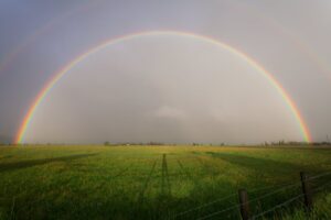 Secrets to actually building a healthy, productive pasture