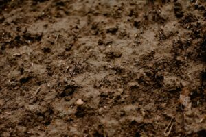 Save time and money: soil test tips for ranchers