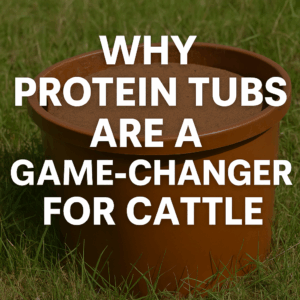 The simple reasons to fill gaps with protein tubs