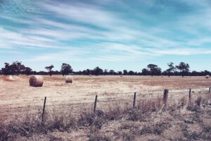 5 easy rules to store hay the right way